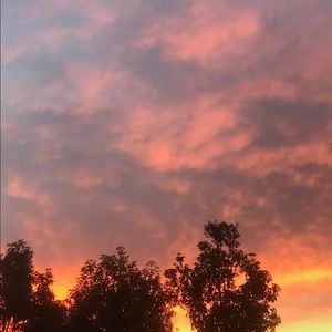 Meet your Posher, Les